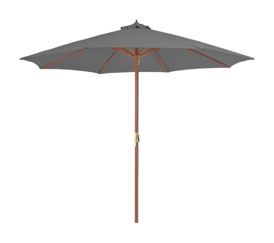 Parasol D'extérieur Avec Mât En Bois 300 Cm Anthracite