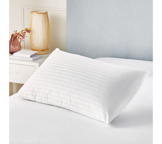 Oreiller En Plumes Et Duvet D'oie Avec Housse Double 100% Coton  80x80cm