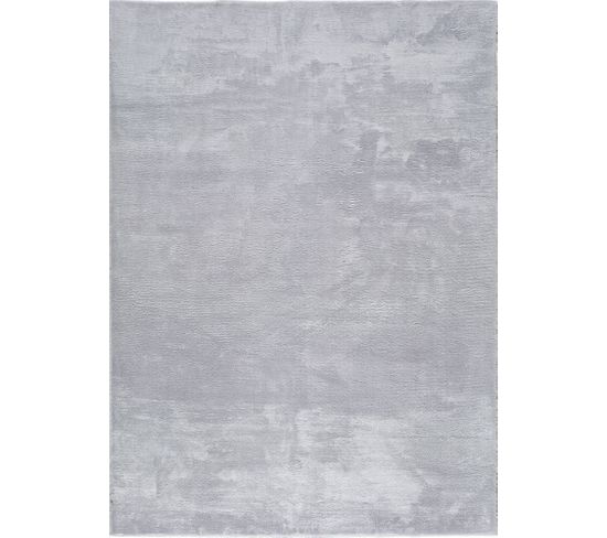 Tapis Intérieur 120x170 Cm Argent Rectangulaire Loft Uni