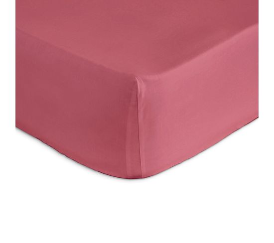 Drap Housse 100% Coton Casual 200x200 Cm Rose Foncé