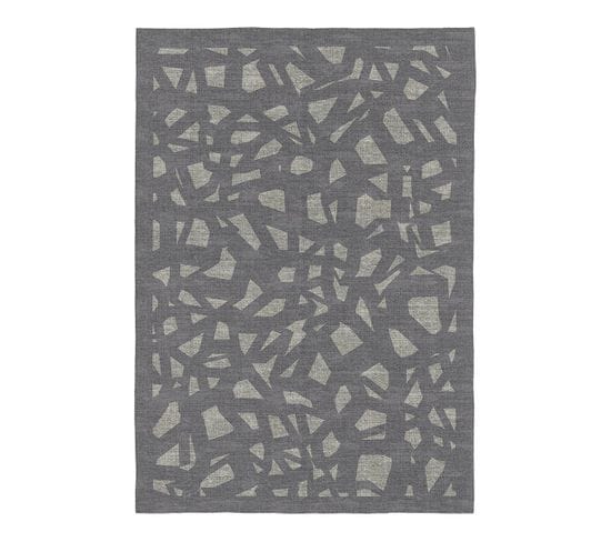 Tapis Gris Abstrait Plat Design Driane Gris 160x230