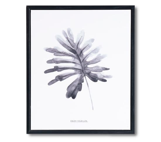 Grey Fern - Peinture Décorative 30 X 25 Cadre Noir