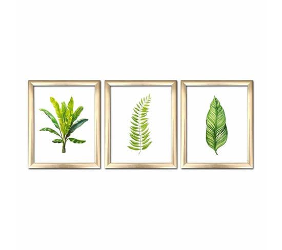 Lot De 3 Tableaux Encadrés En Or Pictor L76.5xh28,5cm Motif Feuilles Tropicales Vert