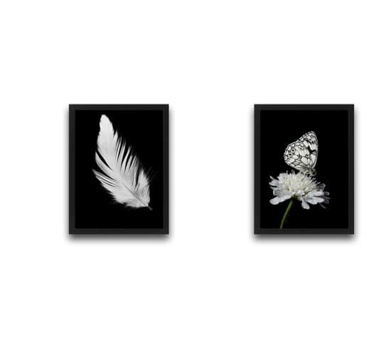 Lot De 2 Tableaux Duo L30xh40 Motif Plume Et Papillon Noir Et Blanc