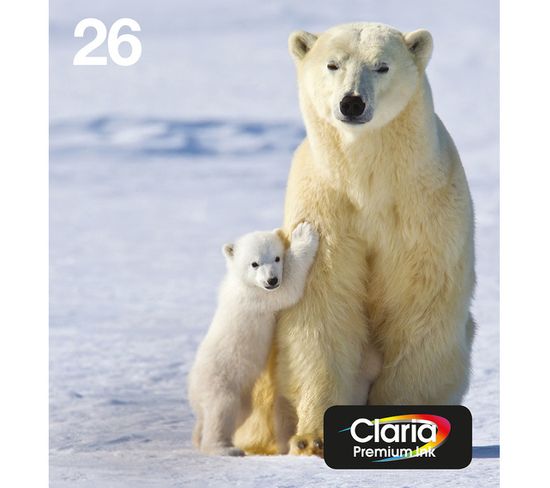Cartouches D'encre Polar Bear Multipack 4-colours 26 Easymail
