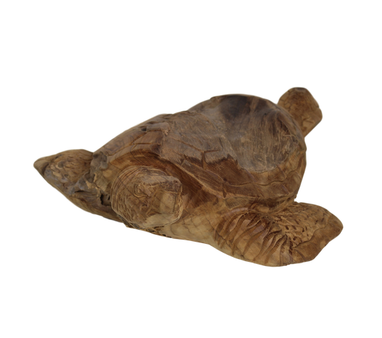 Tortue Décorative Root - Teck 55*40*25