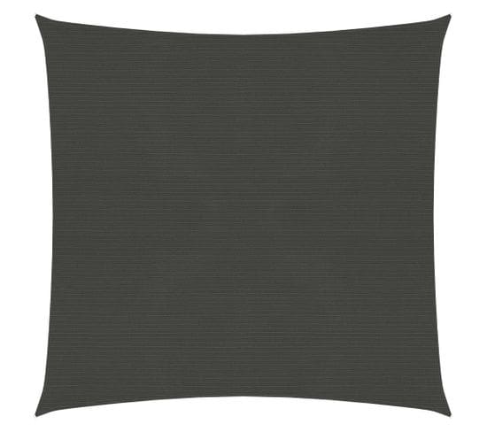 Voile D'ombrage 160 G/m² Anthracite 3x3 M Pehd