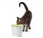 Fontaine A Eau Pour Chat 3l - Blanc Et Vert