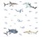 Stickers - Requins - Hauteur 44,1 Cm