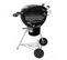 Barbecue Charbon Weber Master-touch Premium E-5770 Gbs