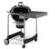 Barbecue à Charbon 57cm Noir - 15301053