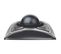 Souris Trackball Filaire Expert Mouse®