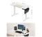 Bureau Assis Debout Électrique, 60 X 120 X (72-120) Cm, Table Réglable En Hauteur,blanc Pur Et Beige