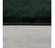 Tapis De Salon Moderne Épais Charly En Polyester - Vert - 80x150 Cm