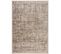 Tapis De Salon Moderne Echo En Polypropylène - Beige - 80x150 Cm