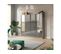 Lit Escamotable +2 Placards Vertical 140x200+(50x2)cm Miroir Supérieur Chêne/anthracite Brillant