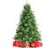 Sapin De Noël Artificiel 180 cm Avec 820 Rameaux 100 % Pvc Aiguilles De Pin Et Support Métallique