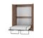 Armoire Lit Escamotable Vertical 120x200 Cm Couleur Tabac Foncé Avec Porte Lit Mural Todor