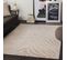 Tapis Zébré Bohème Gris/beige 120x170