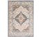 Tapis Vintage Oriental Multicolore/taupe 200x275