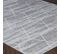 Tapis Scandinave Moderne Gris/blanc 160x220