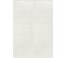 Tapis Shaggy Moderne Blanc 160x220