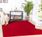 Tapis Shaggy Moderne Rouge 160x220