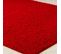 Tapis Shaggy Moderne Rouge 200x290