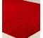 Tapis Shaggy Moderne Rouge 100x200
