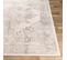 Tapis Vintage Oriental Blanc/gris 120x170