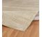 Tapis D'intérieur/extérieur Scandinave Moderne Beige 160x220