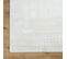 Tapis Scandinave Moderne Ivoire/blanc 200x275