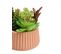 Plante artificiel H. 16 cm UBALD Corail