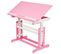 Bureau Enfant Meuble Réglable En Hauteur Et Inclinable Rose 0508097