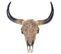 Trophée De Tête De Taureau Longhorn Crâne Décoratif 45cm Trophée Intérieur Extérieur Décoration Mur