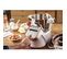Robot cuiseur multifonction Companion XL Silver - Bol Gourmet - hf807e10