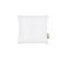 Lot De 2 Oreillers Bio Confort 60x60 Cm Blanc