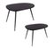 Set De 2 Tables Basses Organic Noir