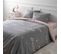 Housse De Couette 220x240 + 2 Taies D'oreiller 63x63 Cm Coton Cama Rose