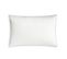 Oreiller Moelleux Gonflant Durable - Coton Bio - Félix 60 X 60 Cm Blanc