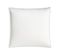 Oreiller Moelleux Gonflant Durable - Coton Bio - Félix 60 X 60 Cm Blanc