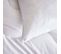 Oreiller Minuit - 50% Duvet - Moelleux 50 X 70 Cm Blanc