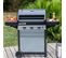 Barbecue à Gaz Sur Pieds 3 Feux 9.6kw Gris - Class-3wld