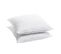 Lot De 2 Oreillers Souple 50x70cm Sensation Duvet Gonflant