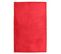 Tapis Aspect Velours Extra-doux Rouge 60x90 - Flanelle