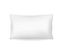 Lot De 2 Oreillers Blanc Microfibre - 45 X 70 - 550grs - Moelleux