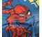 Plaid Polaire Imprimé 100% Polyester, Spiderman Hero 110x140cm