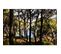 Tableau Sur Verre Calanques Forêt De Pins 45x65 Cm