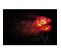 Tableau Sur Verre Synthétique Rose Illuminée 65x97 Cm