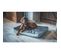 Matelas Rectangulaire Pour Chien Grand/moyen - Ouatiné Dense - Taille L - 80x60x7cm